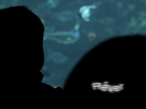 Aquarium Mare Nostrum - Loisirs enfants et sorties en famille à Montpellier