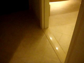 Computerized Toilet Vlog