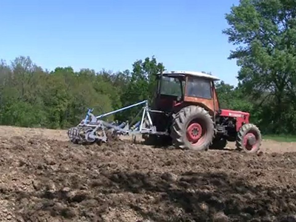 Plantation des patates 1