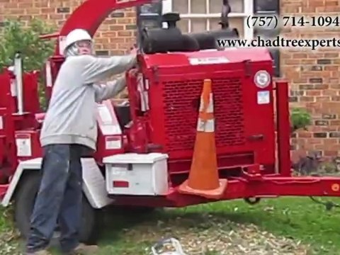 Chad Tree Experts - Tree Triming and Removal Demo