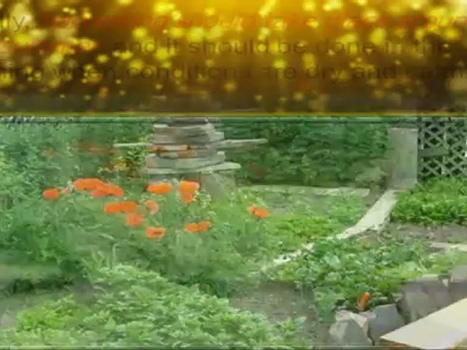 Home Herb Garden