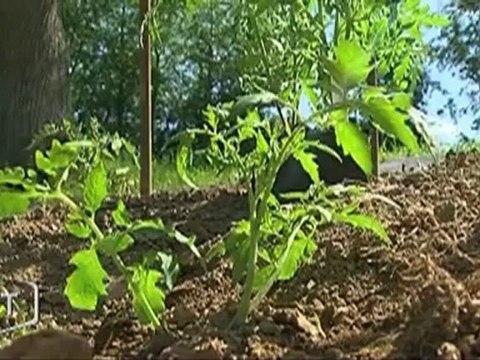 Les Saints de glace sont passés, tous au jardin ! (Vendée)