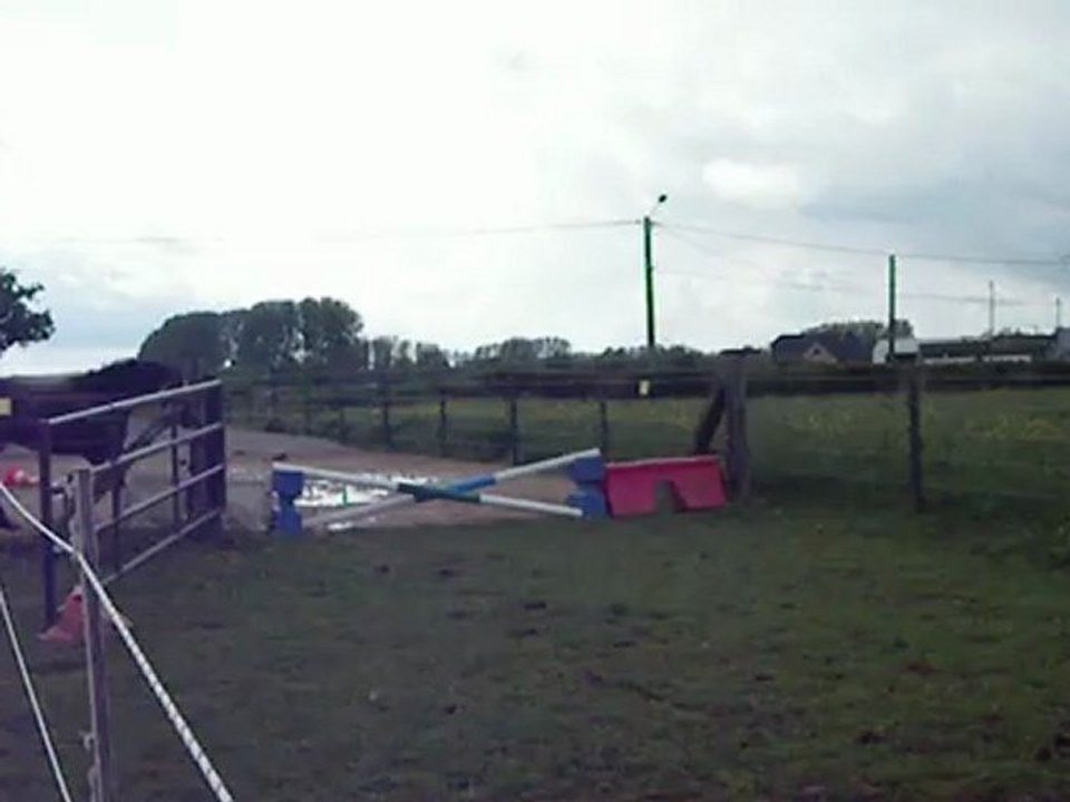 ulrika (15 mai 2012)