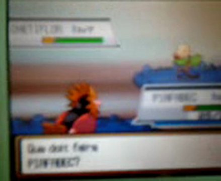 pokemon version or 2 finissons la tour chetiflor