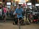 Bangkok Breakdancers