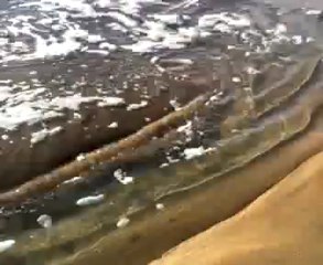 ADRIEN MORAN INTERPRETE ALWAYS ON MY MIND