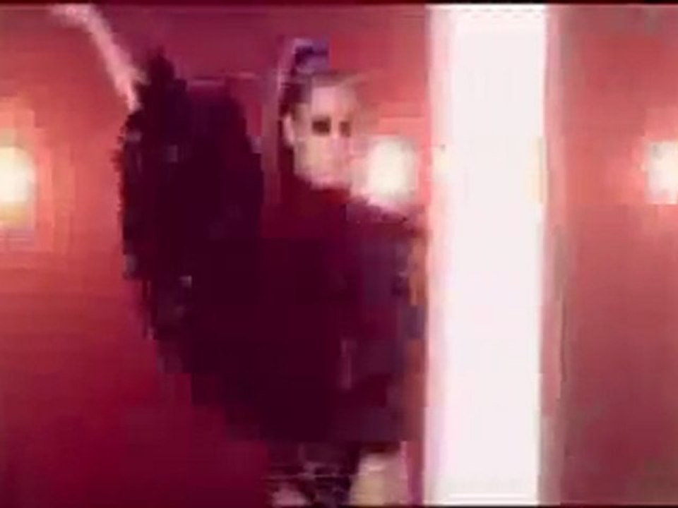 HAVANA BROWN - WE RUN THE NIGHT (VDJ LÉO CAMPBELL VIDEO REMIX)