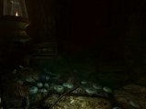 Amnesia : The Dark Descent [11] - Brouillard rouge qui fait peur...