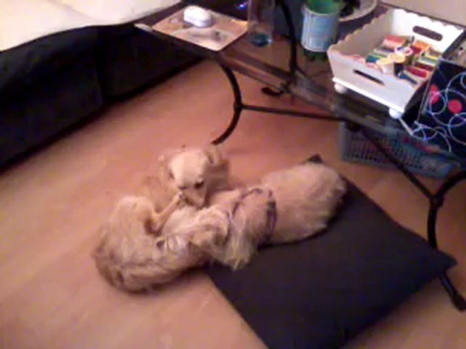 video-2012-05-17-19-35-11