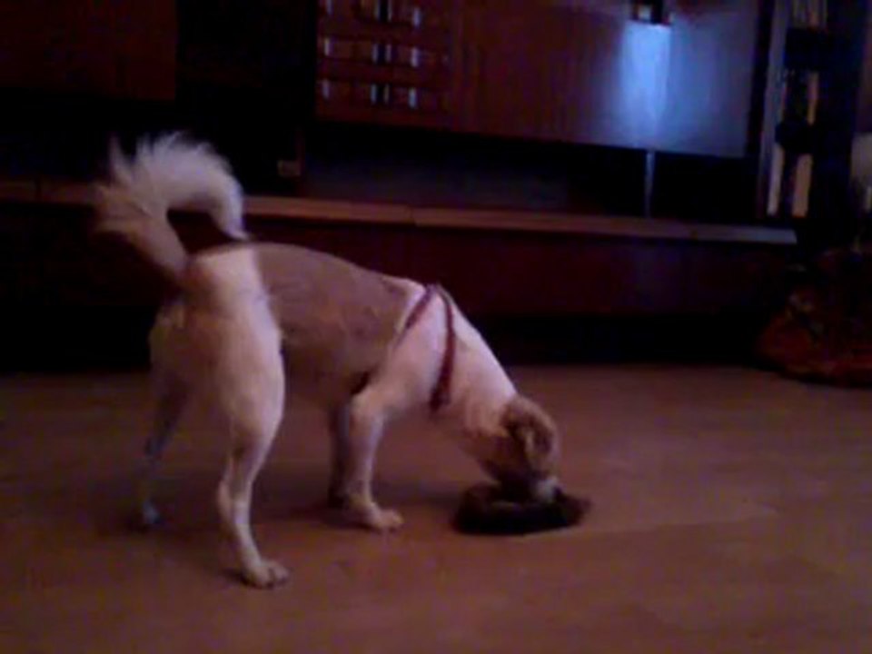 video-2012-05-23-20-52-04
