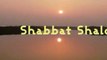 Shabbat Shalom and Hevenu Shalom  Aleichem -  Traditional Jewish Music שבת שלום - מוסיקה יהודית מסורתית