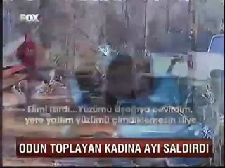 Ayı ile Dakikalarca Boğuştu