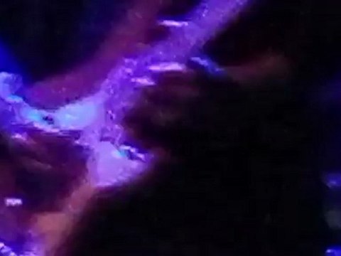 CHRISTOPHE WILLEM SESSIONS@OLYMPIA - 22-05-2012 I WANNA DANCE (REPRISE W HOUSTON)