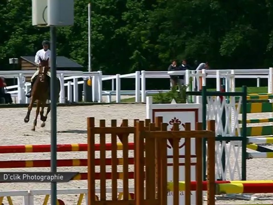 Vendu - Tiple de Blondel - Cycles Classiques 5 ans B - Le Lion d'Angers - Mai 2012