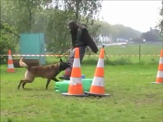 Dacoït du Dragon Rouge de Jupiter le 23.05.2012