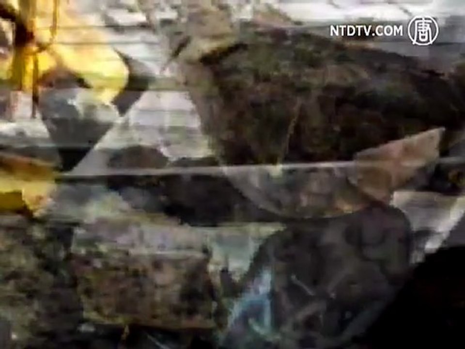 2 Died in Forced Demolition in Northeast China’s Heilongjiang Province