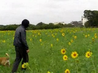 Asian Girl Crashes Brand New Car