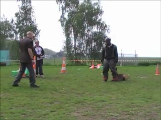 Dacoït du Dragon Rouge de Jupiter le 23.05.2012