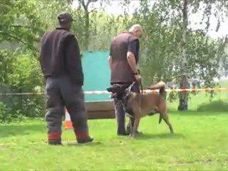 Dacoït du Dragon Rouge de Jupiter le 23.05.2012