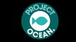Project Ocean: Can We Save Our Seas?
