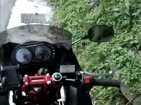 Where Do Babies Come From?