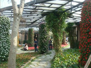 Taiwan Cafe/Park - DM13