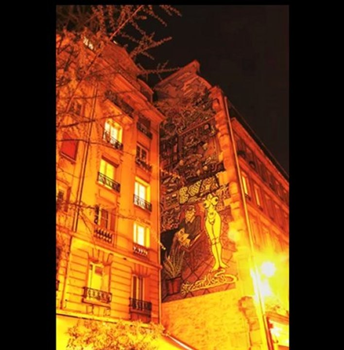 La femme lumière de l'homme, Robert COMBAS