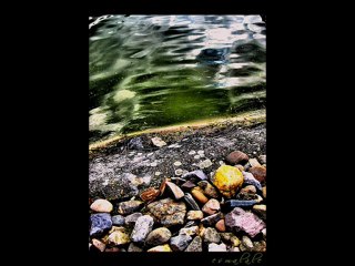 BİR VEDA BORCUN OLSUN - NACİ AHISKALIOĞLU - ŞİİRİ