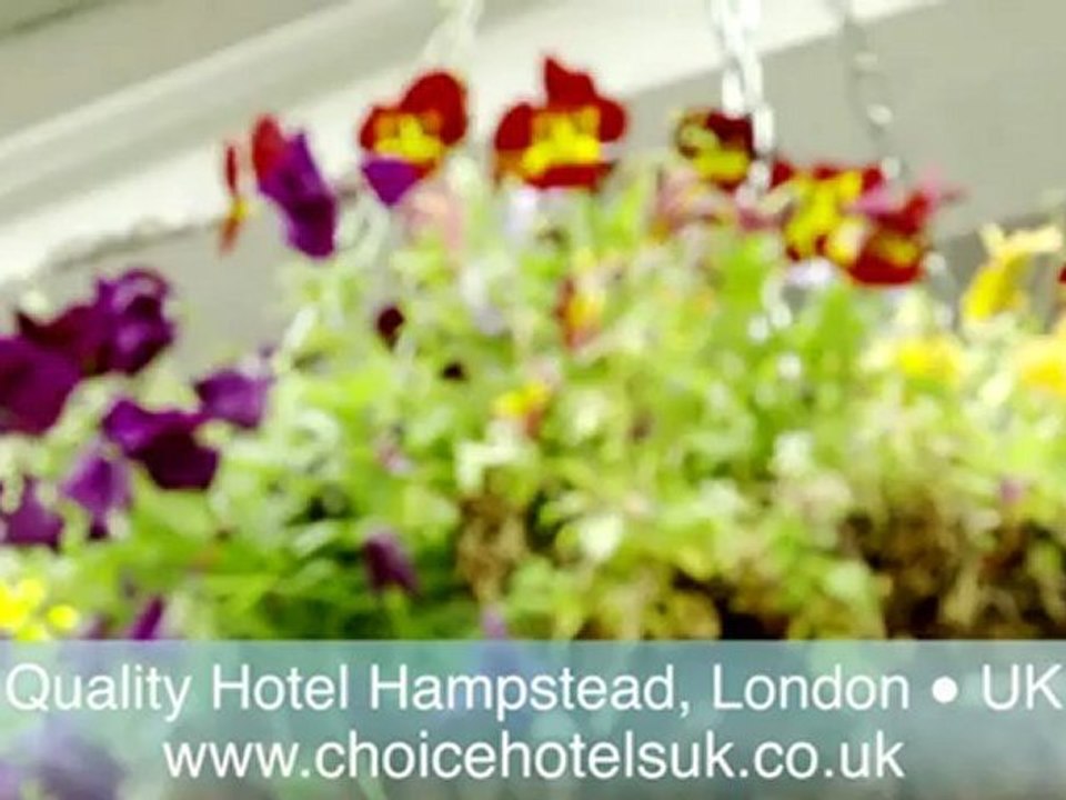 Quality Hotel Hampstead, UK - Explore the Hotel with the General Manager