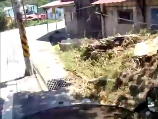 M13 Tuba Over Church Protective Museum Children