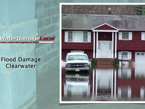 Clearwater Flood Damage - Clean Up & Repair Done Right