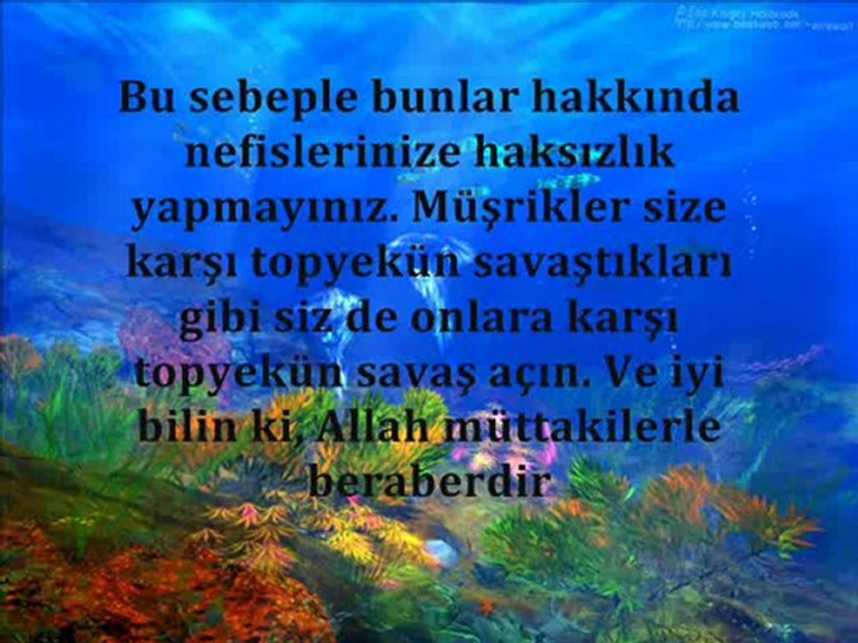 Tevbe Suresi