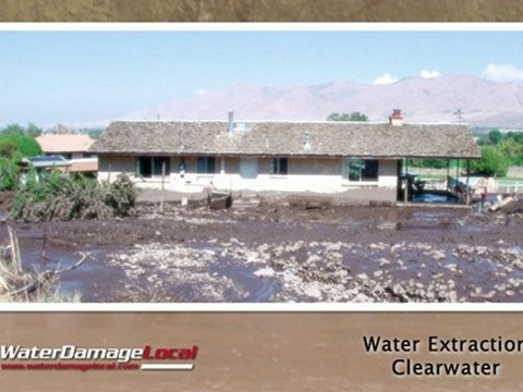 Clearwater Water Extraction — Repair Damage Right The First Time