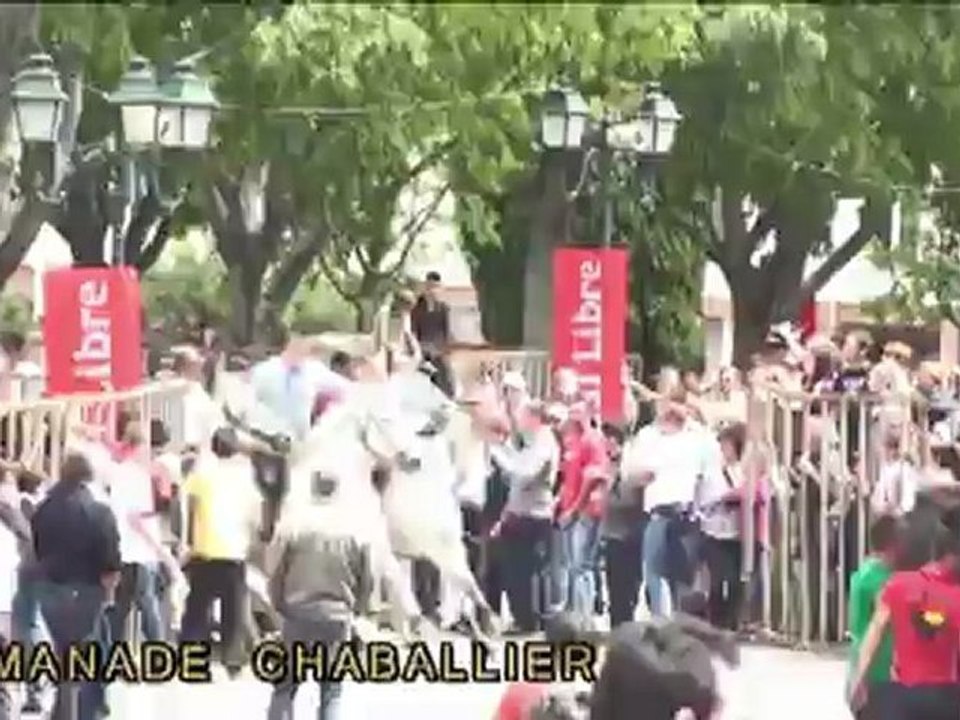 concours abrivados 7 manades ales 2012