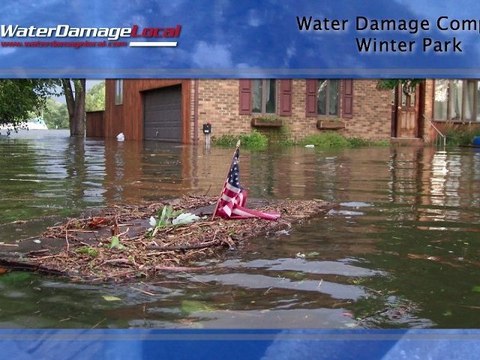 Winter Park Water Damage Company — Basement Flooding