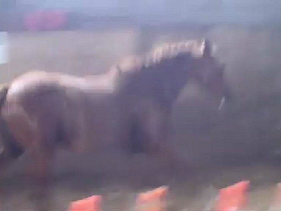 Saut en liberté au centre equestre