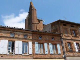 L'été s'approche ... le foulque couve !