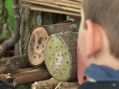 AGORA L'EMISSION 151 : VISITE AU RUCHER DE LA FERME SAINT-JEAN A DAINVILLE PAR LES ELEVES DE L'ECOLE LANGEVIN