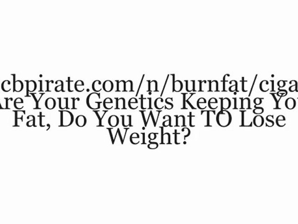 Burn The Fat. Get Rid Of Stubborn Belly Fat. Learn To Lose Weight & Lose Belly Fat.