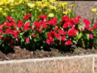 Marketing and Sales with NYBP, Since 1998 - 1350 Broadway Suit 1612