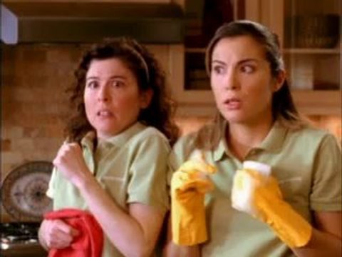 Cleaning Service Mississauga Port Credit Merry Maids