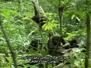 State.of.the.Planet.3of3.The.Future.of.Life