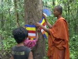 Cambodge: des patrouilleurs citoyens pour protéger les forêts
