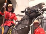 Canadian Mounties Guard the Queen at Horse Guards Parade