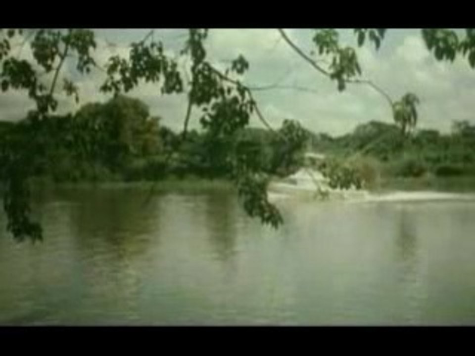 Killer Crocodile