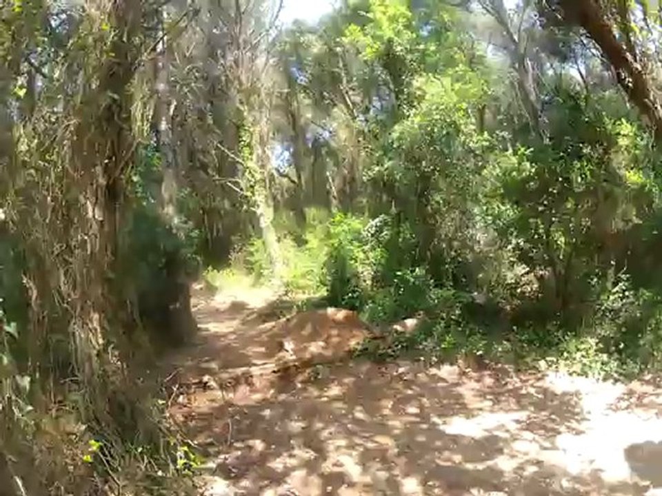 vtt var enduro cro'rois team a janas