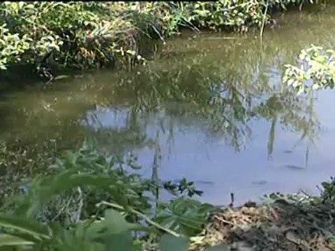 tragedia della strada muore 19enne