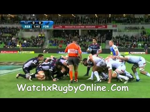 Rugby Force vs Lions Match Live
