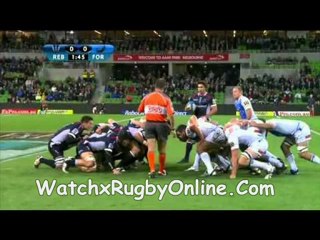 Rugby Force vs Lions Live Match On Tv