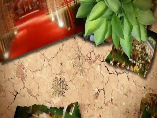 The Fundamentals of Delhi Marriage